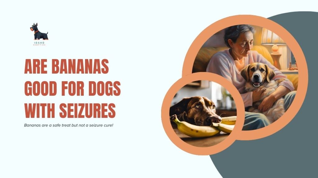 Are Bananas Good for Dogs With Seizures