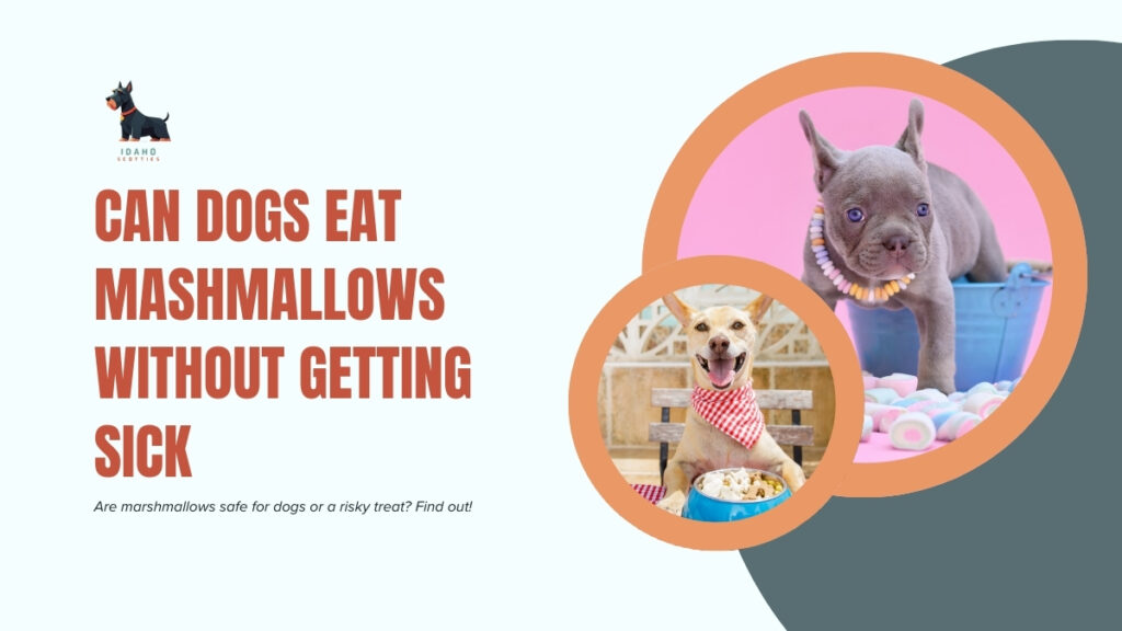 Can Dogs Eat Mashmallows Without Getting Sick